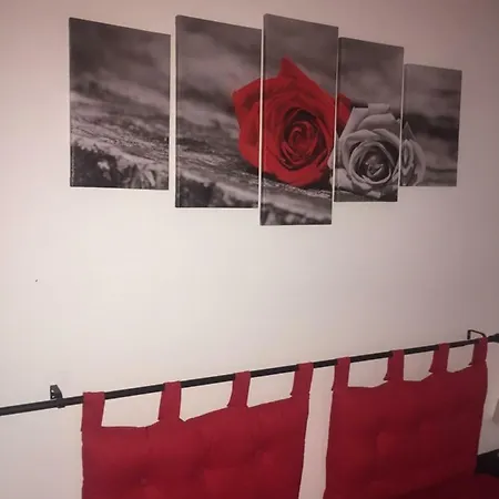 Vakantiehuis Aurorasarahouse *